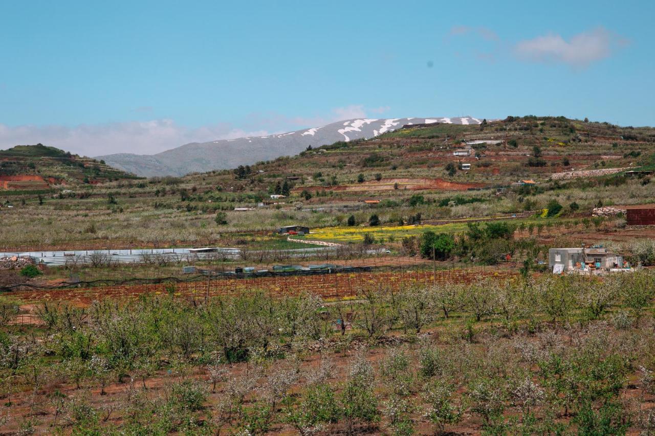 Grand Golan Villa Buq'ata Exteriör bild